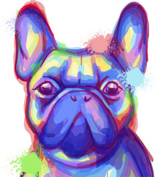 Immagine di   bulldog francese colorato