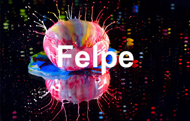Immagine per la categoria Felpe