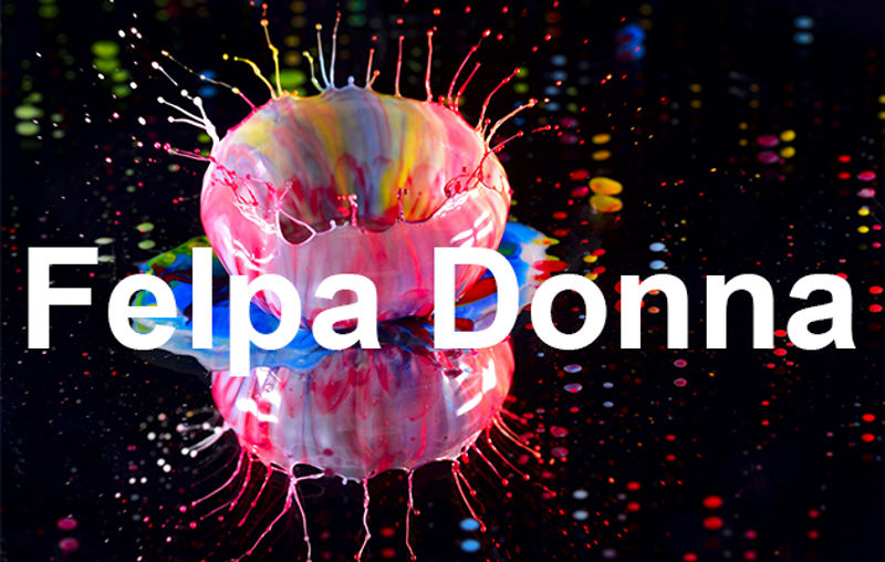 Immagine per la categoria Felpe Donna