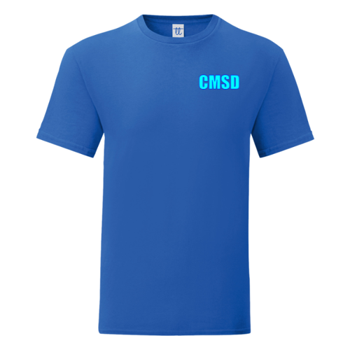Immagine di T-Shirt Uomo Gildan Soft Style