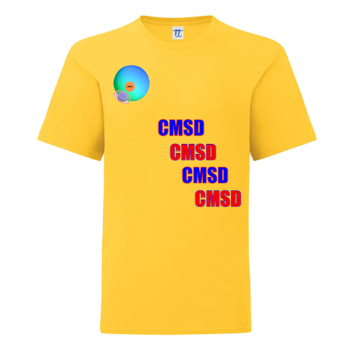 Immagine di T-Shirt Bambino Gildan Soft Style