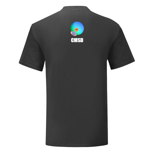 Immagine di T-Shirt Uomo Gildan Soft Style