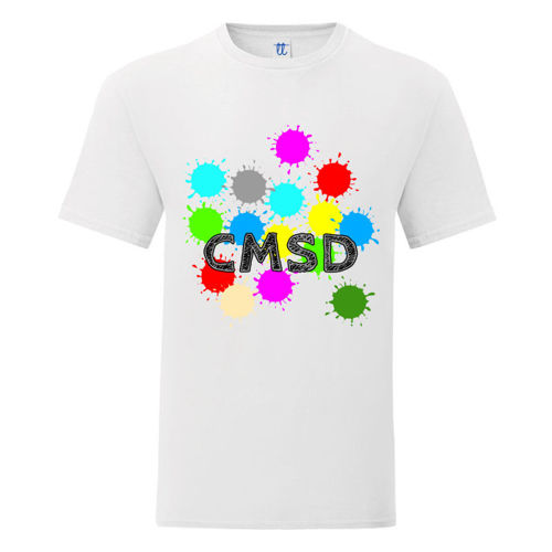 Immagine di T-Shirt Uomo Gildan Soft Style