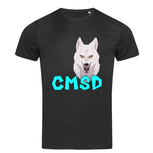 Immagine di T-Shirt Sport Uomo