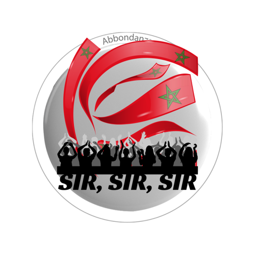 Immagine di 5 Spille-SIR, SIIR, SIIIR