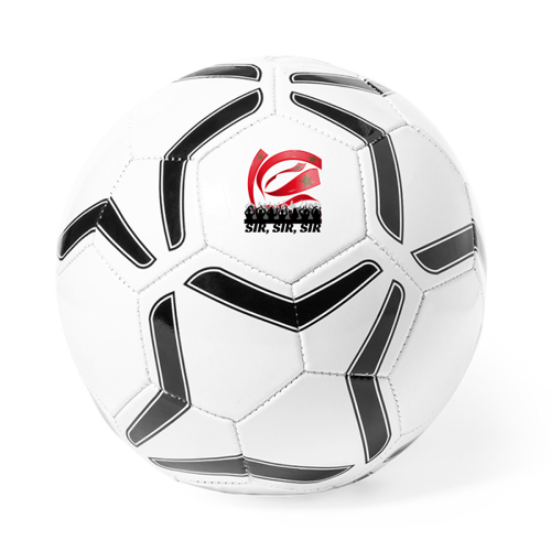 Immagine di Pallone da calcio-SIR, SIIR, SIIIR