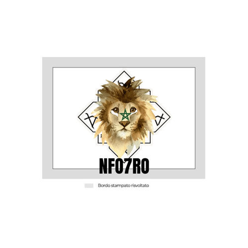 Immagine di Foto Quadro su Telaio-NFO7RO 