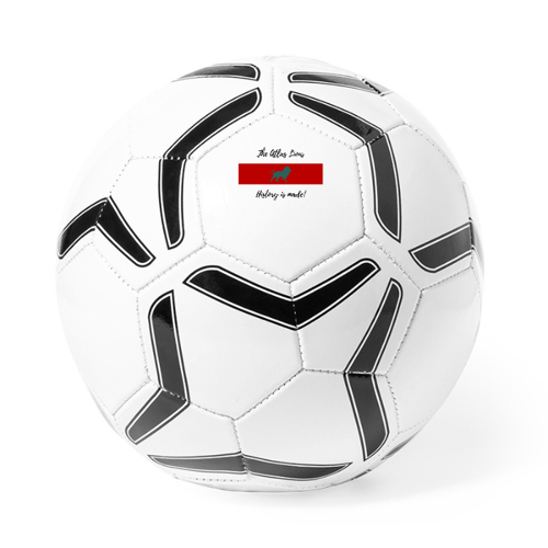 Immagine di Pallone da calcio HISTORY IS MADE
