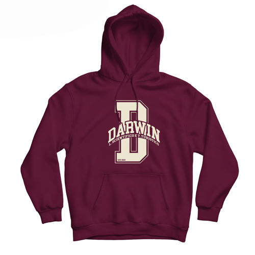 Immagine di Darwin Hoodie D-College Bordeaux