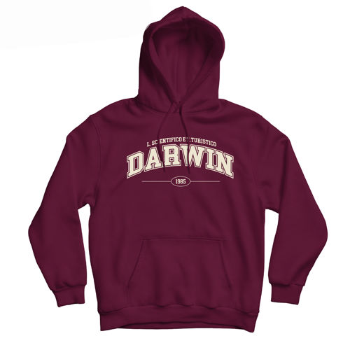 Immagine di Darwin Hoodie Classic College Bordeaux