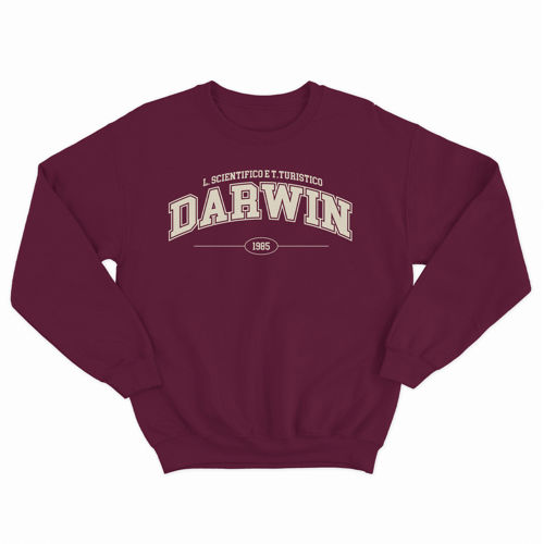 Immagine di Darwin Crewneck Classic College Bordeaux