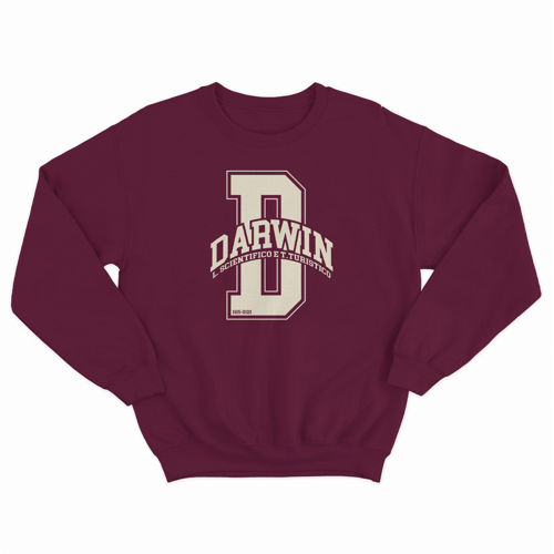 Immagine di Darwin Crewneck D-College Bordeaux