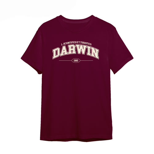 Immagine di Darwin T-Shirt Classic College Bordeaux