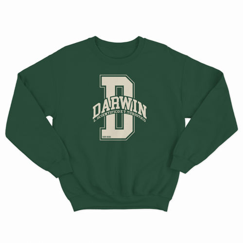 Immagine di Darwin Crewneck D-College Green