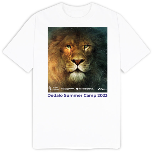 Immagine di T-Shirt Uomo Dedalo Summer Camp Toscana 2023