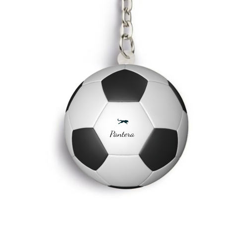 Immagine di Portachiavi pallone da calcio Pantera 