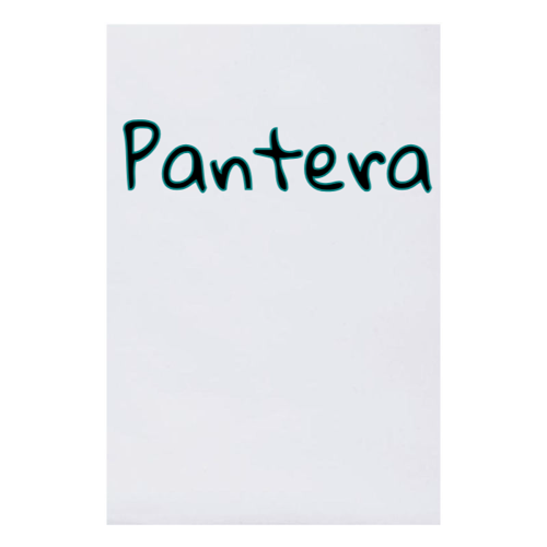 Immagine di Telo da mare microfibra Pantera 100x150