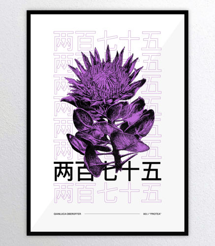 Immagine di "PROTEA" (LTD) - NATURE SERIES