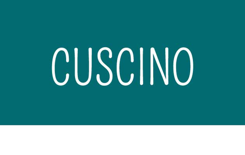 Immagine per la categoria Cuscino