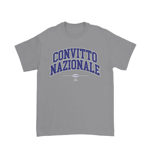 Immagine di FALCONE "PALERMO TEE" BAMBINO SPORTGREY