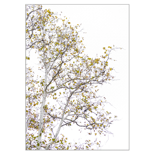 Immagine di Puzzle DDN livello 94/100