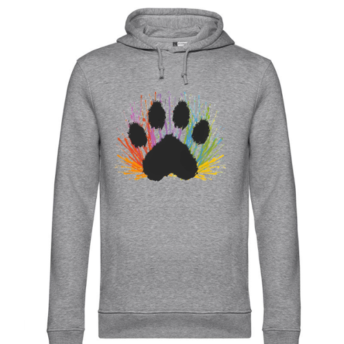 Immagine di Felpa Cappuccio Uomo DripStyle Organic Hooded