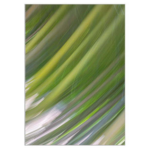 Immagine di Puzzle FdV livello 90/100