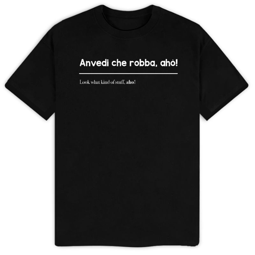 Immagine di T-Shirt "Anvedi che robba, aho!"