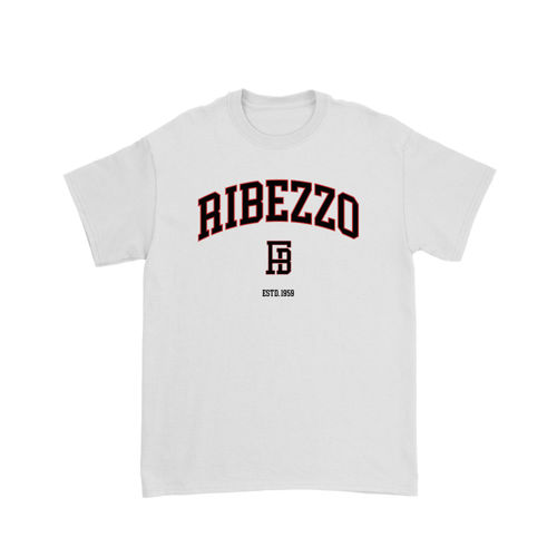 Immagine di FRANCESCO RIBEZZO "COLLEGE" T-SHIRT WHITE