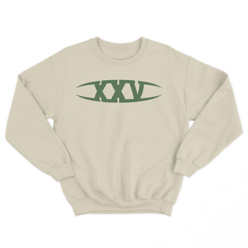 Immagine di I.I.S 25 APRILE "XXV LOGO" CREWNECK SAND