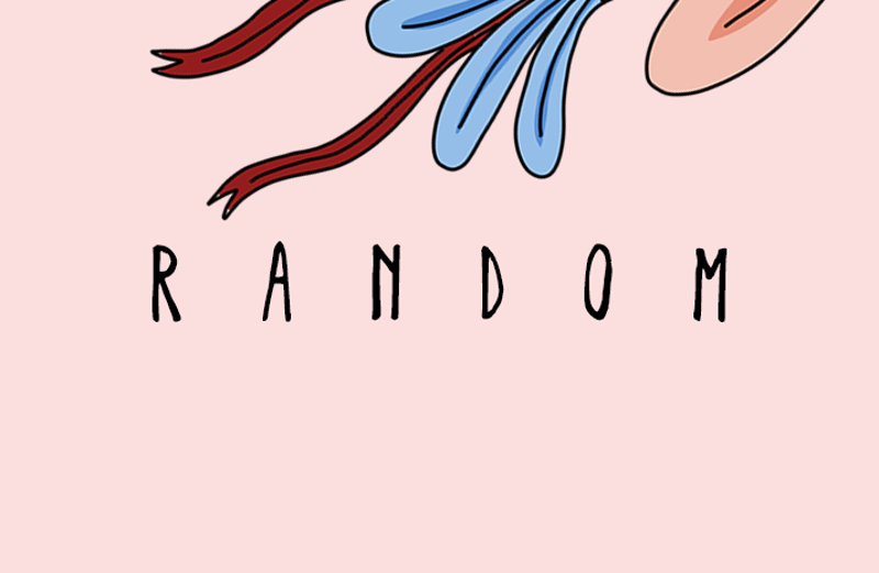 Immagine per la categoria RANDOM