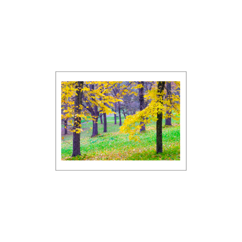 Immagine di Pannello in Forex 40x30 cm
