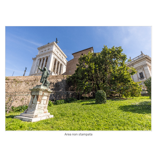 Immagine di Fitolacca Piazza del Campidoglio