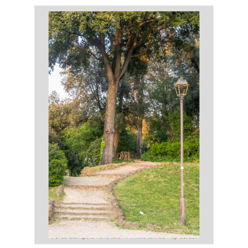 Immagine di Foto Quadro su Telaio 50x70 cm