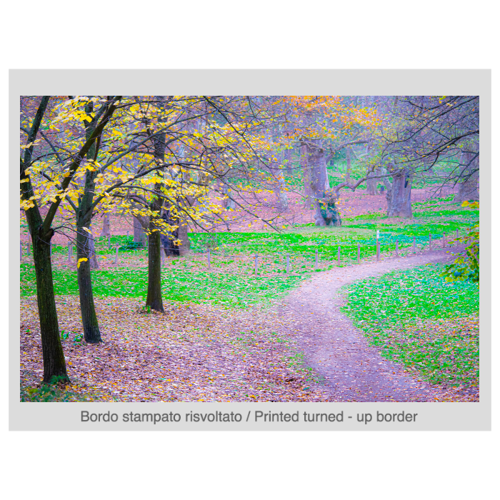 Immagine di Foto Quadro su Telaio 70x50 cm