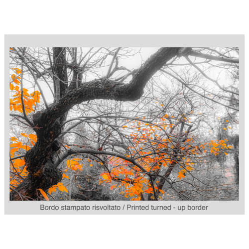 Immagine di Foto Quadro Fine Art  70x50 cm