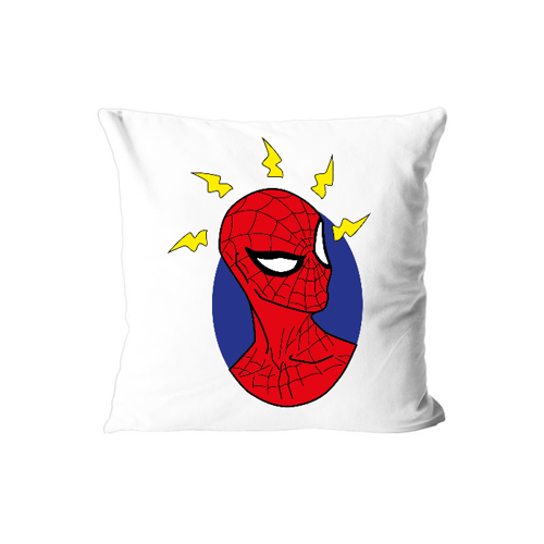Immagine di Cuscino "Warning Spidey"