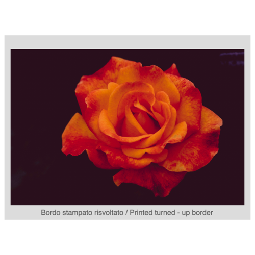Immagine di Foto Quadro su Telaio 70x50 cm