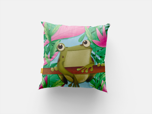 Immagine di Cuscino Rana