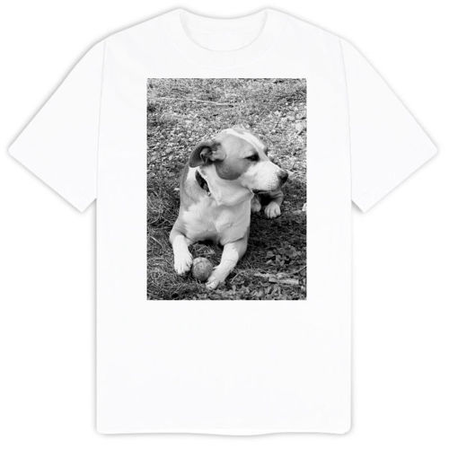 Immagine di T-Shirt Uomo Softstyle | Gildan GL64000-AXEL B:N