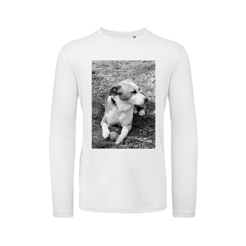 Immagine di T-Shirt Uomo Cotone Organico Inspire LSL T | B&C TM070-AXEL B:N