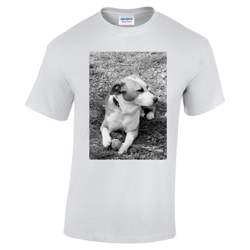 Immagine di T-Shirt Uomo Heavy Cotton | Gildan GL5000-AXEL B:N