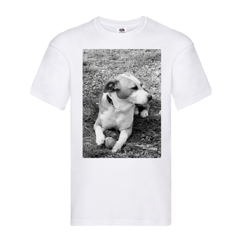 Immagine di T-Shirt Uomo Original | Fruit of the loom F61082-AXEL B:N