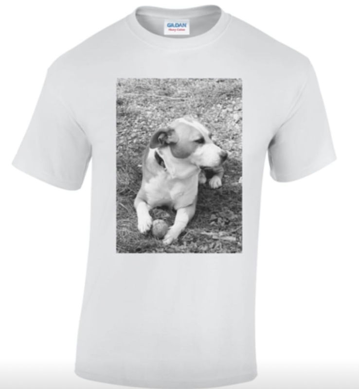 Immagine per la categoria t-shirt uomo