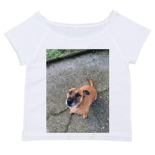 Immagine di T-Shirt Donna Flashdance Mantis MAM129-ce09f6b9-a07b-4039-8a19-96ea93bbf85b