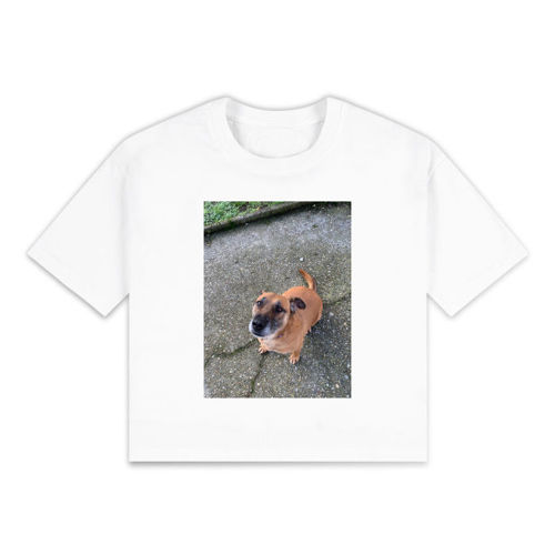 Immagine di T-Shirt Donna Crop Top | Vesti IT6523T-ce09f6b9-a07b-4039-8a19-96ea93bbf85b