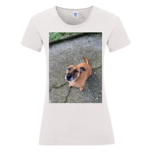 Immagine di T-Shirt Donna Softstyle | Gildan GL64000L-ce09f6b9-a07b-4039-8a19-96ea93bbf85b
