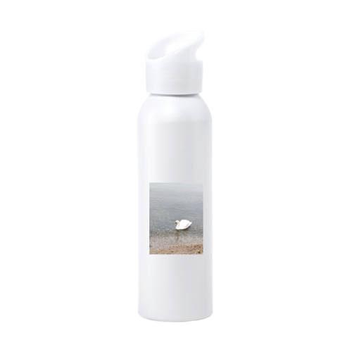 Immagine di Borraccia Alluminio Runtex 600 ml-IMG-20240811-WA0048