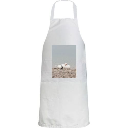 Immagine di Grembiule 2 tasche W430-IMG-20240811-WA0041