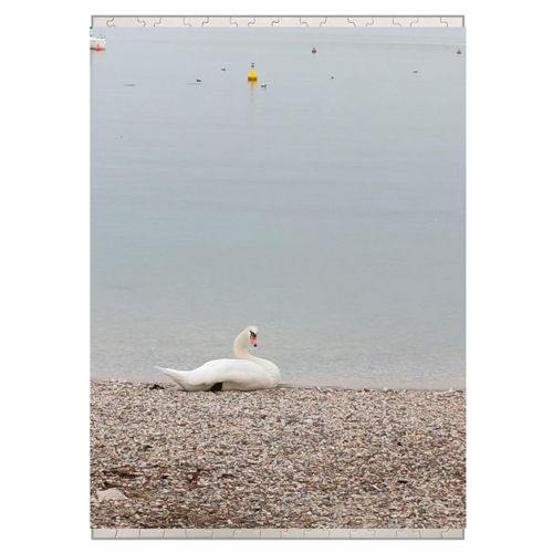 Immagine di Puzzle A3-IMG-20240811-WA0050